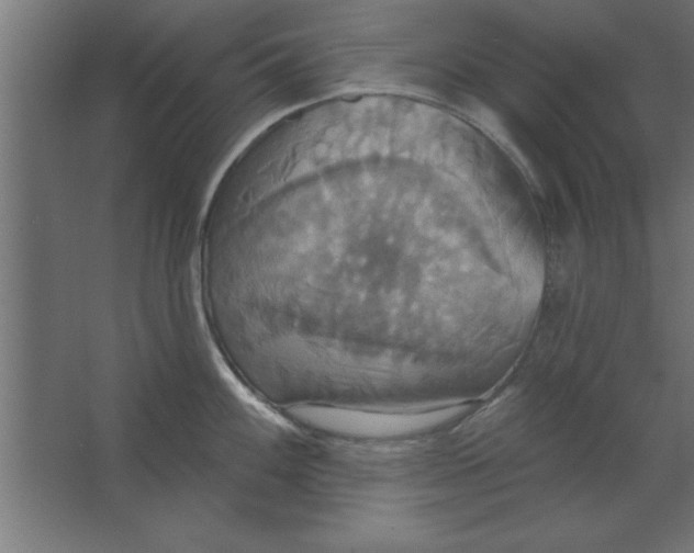 X0000067351100200604211955