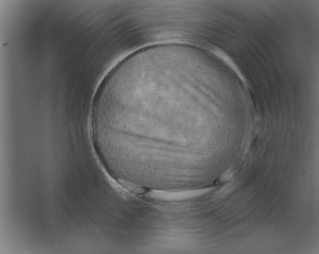 X0000067351101200604211955