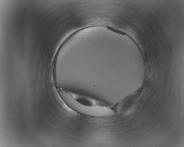 X0000067351102200604211955