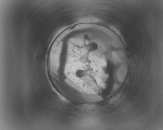 X0000067351103200604211955