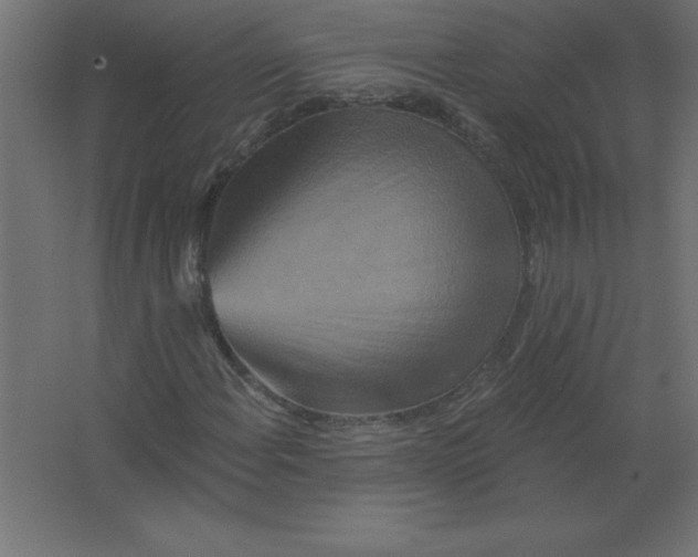 X0000067351108200604211954