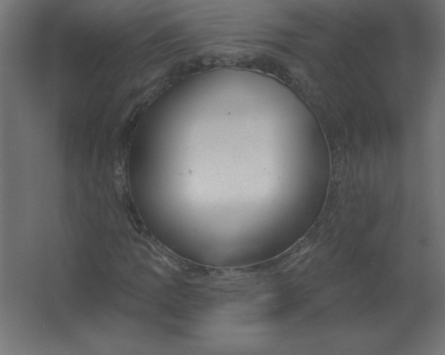 X0000067351109200604211954