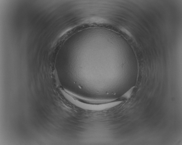 X0000067351112200604211954