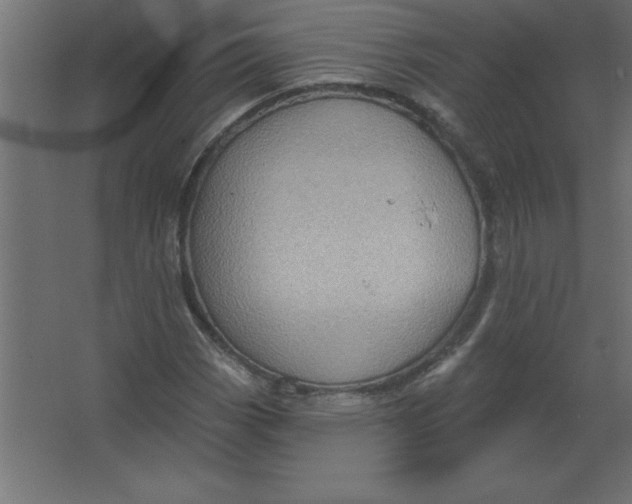 X0000067351113200604211954