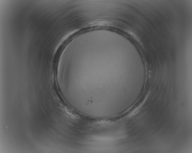 X0000067351117200604211954