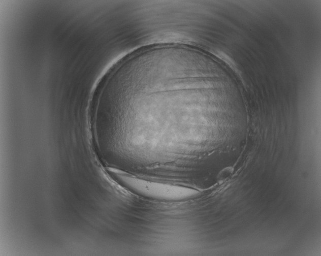 X0000067351120200604211954