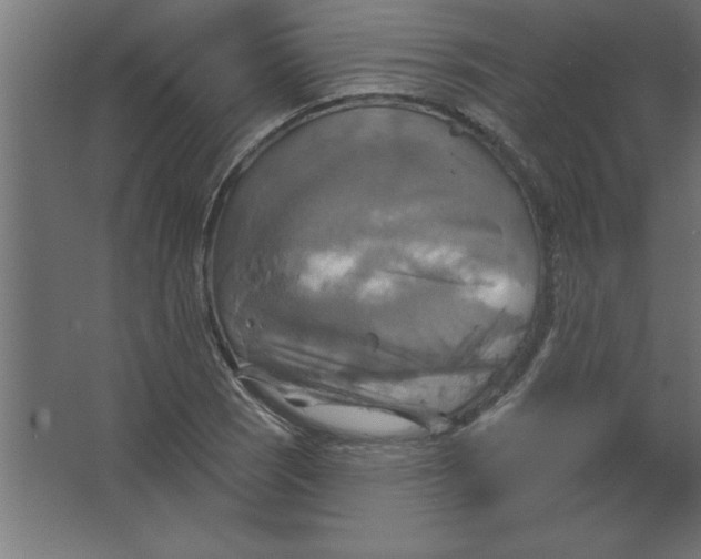 X0000067351121200604211954