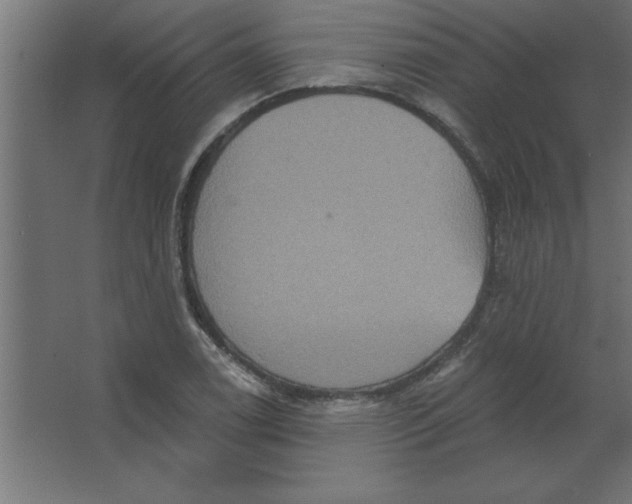 X0000067351122200604211954