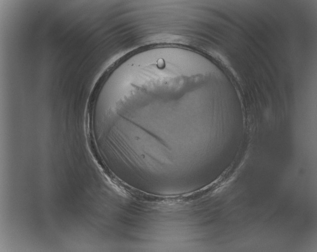 X0000067351125200604211954