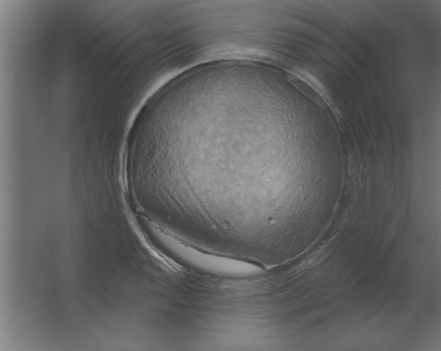 X0000067351128200604211954