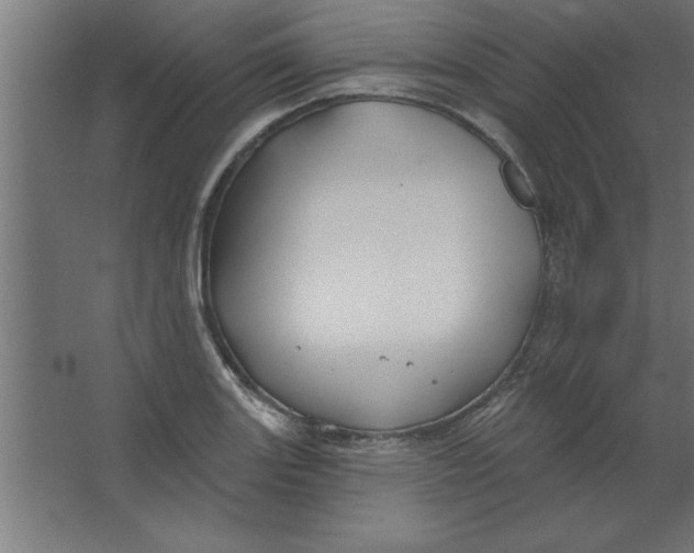 X0000067351131200604211954