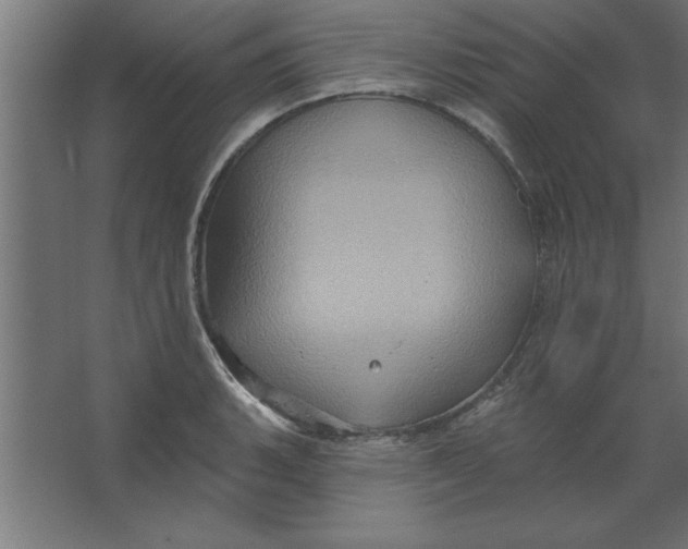 X0000067351135200604211955