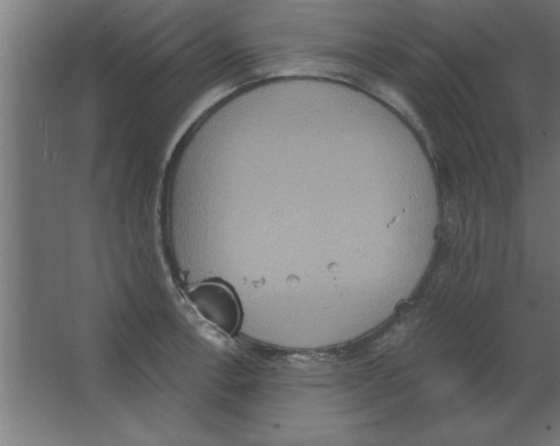 X0000067351138200604211955