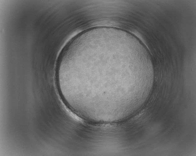 X0000067351139200604211955