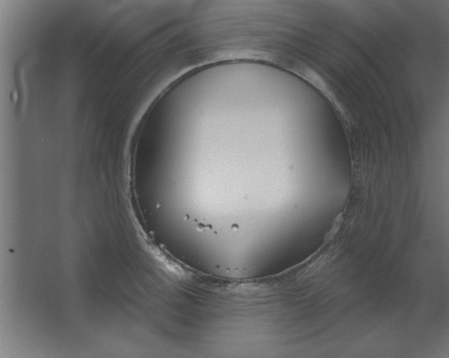 X0000067351140200604211955