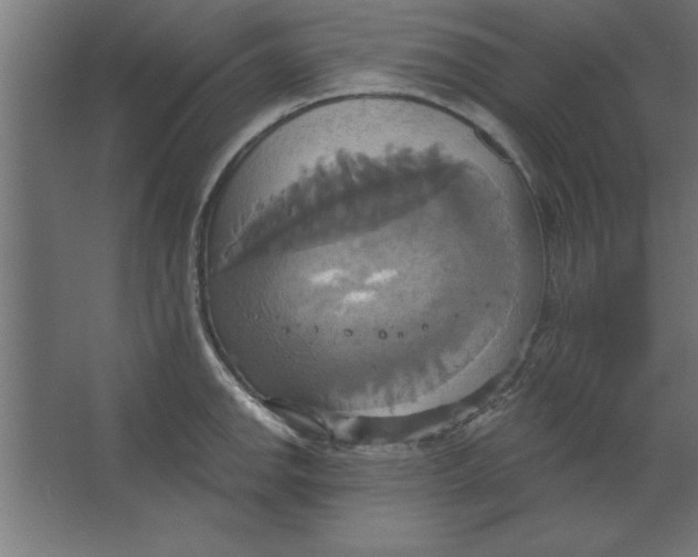 X0000067351142200604211955