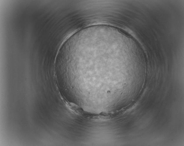 X0000067351145200604211955