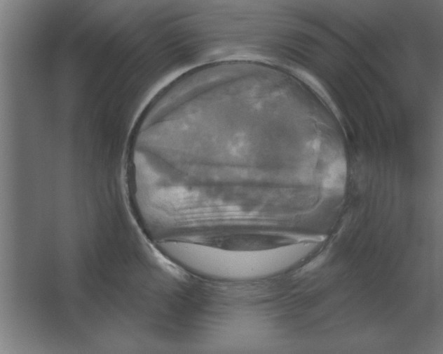 X0000067351149200604211955