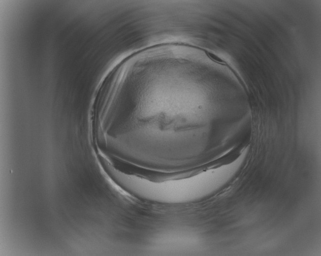 X0000067351151200604211955