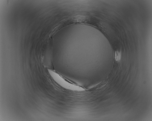 X0000067351155200604211954