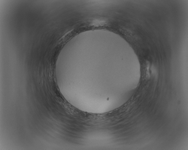 X0000067351158200604211954