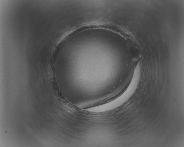 X0000067351160200604211954