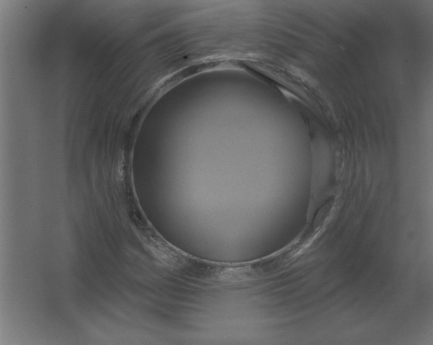 X0000067351161200604211954