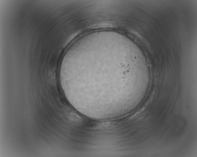 X0000067351162200604211954