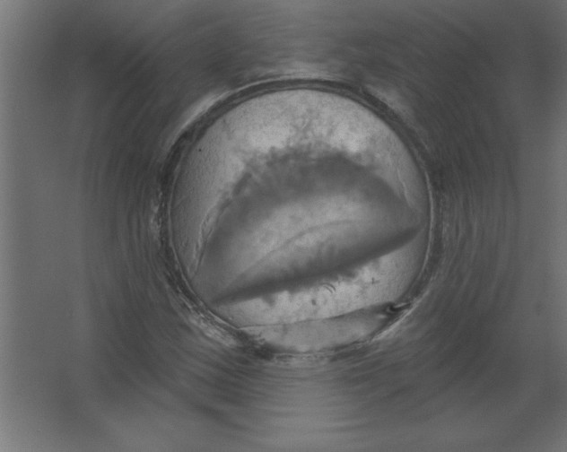 X0000067351163200604211954