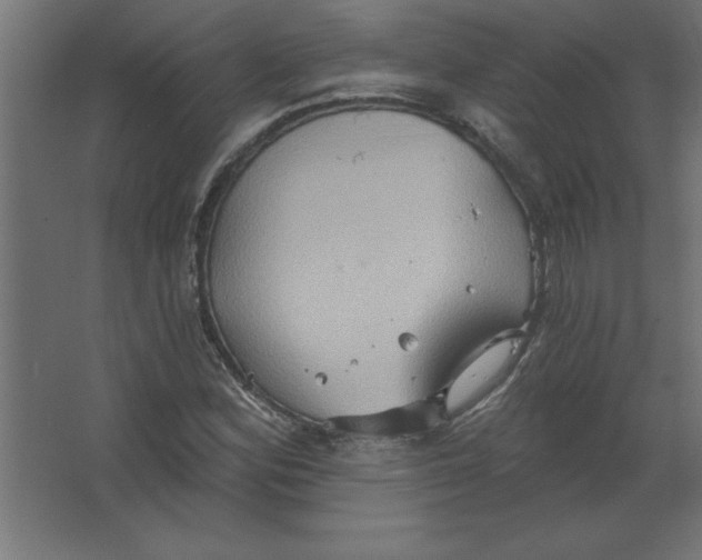 X0000067351164200604211954