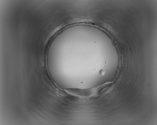 X0000067351165200604211954