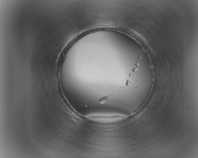 X0000067351168200604211954