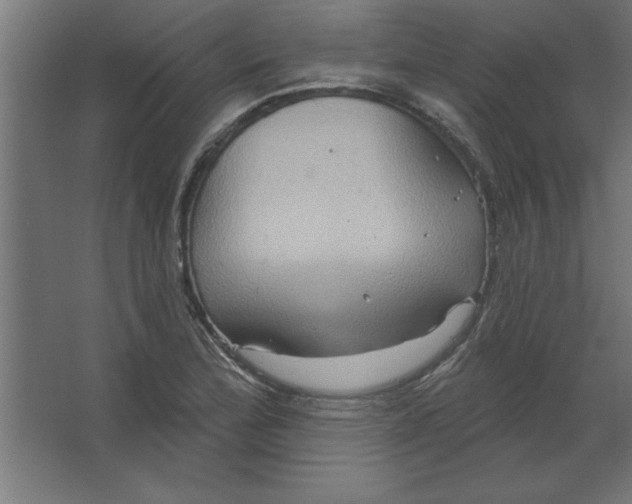 X0000067351172200604211954