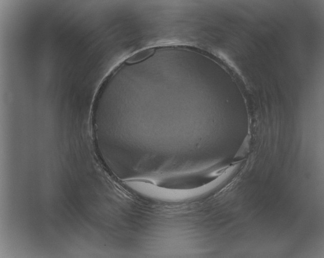 X0000067351173200604211954