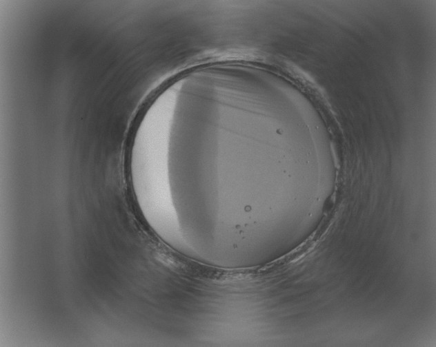 X0000067351174200604211954