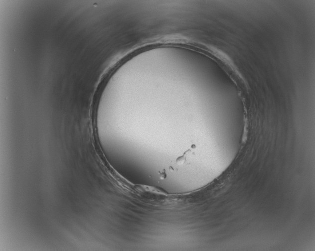 X0000067351176200604211954