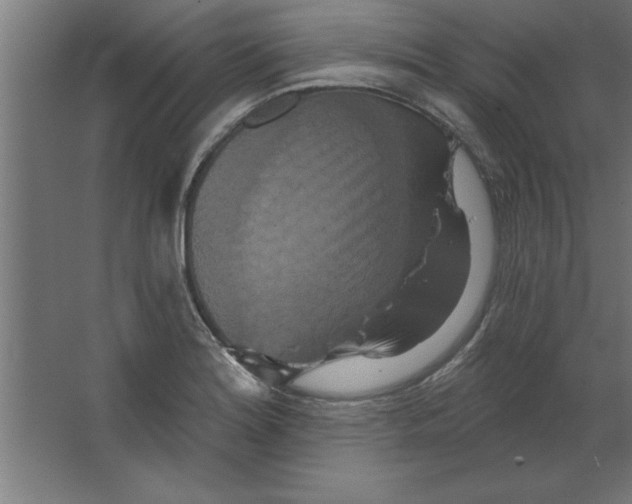 X0000067351180200604211954