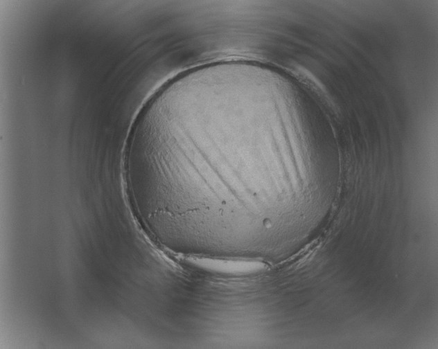 X0000067351182200604211954