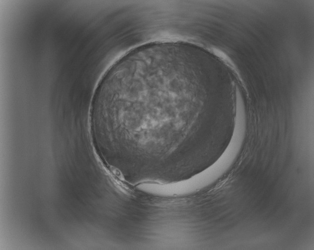 X0000067351183200604211954