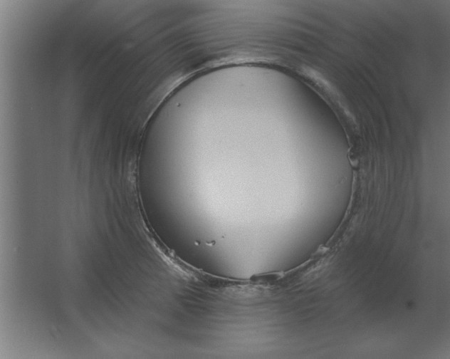 X0000067351185200604211953