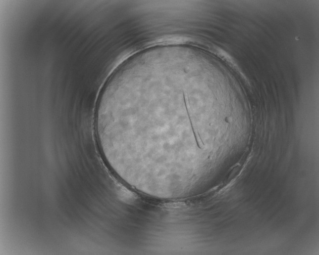 X0000067351186200604211953