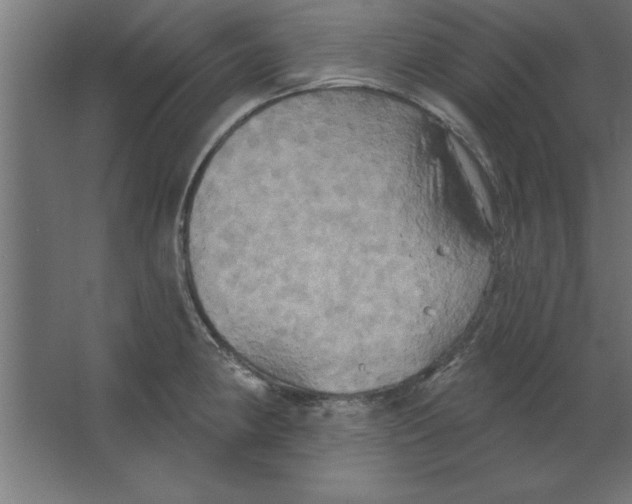 X0000067351190200604211953