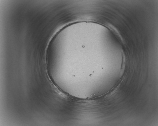 X0000067351192200604211953