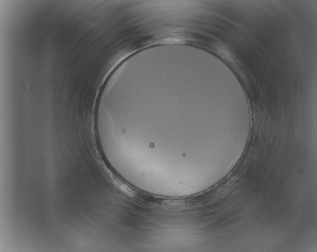 X0000067351194200604211953