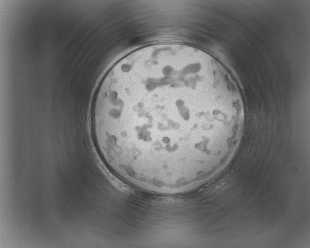 X0000067351195200604211953