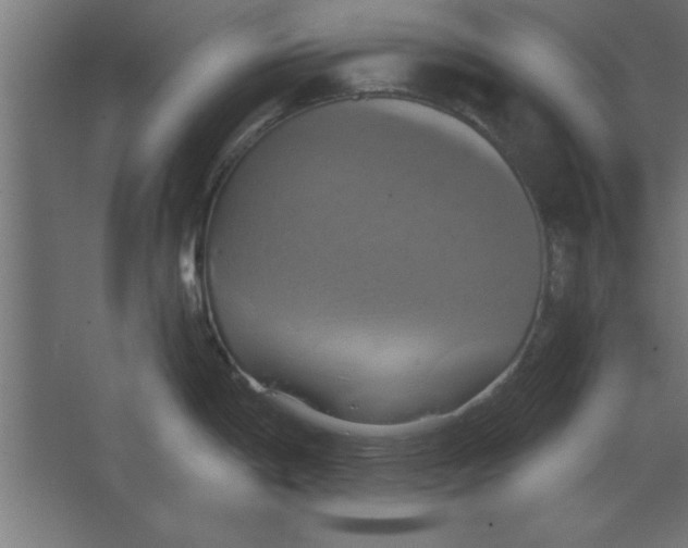 X0000067351198200604211953