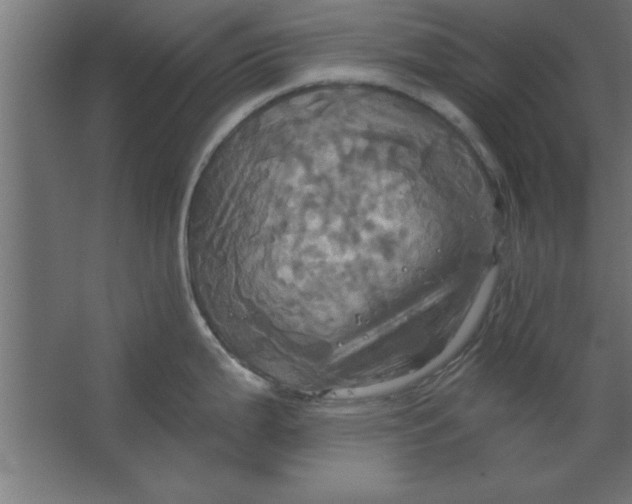 X0000067351199200604211953