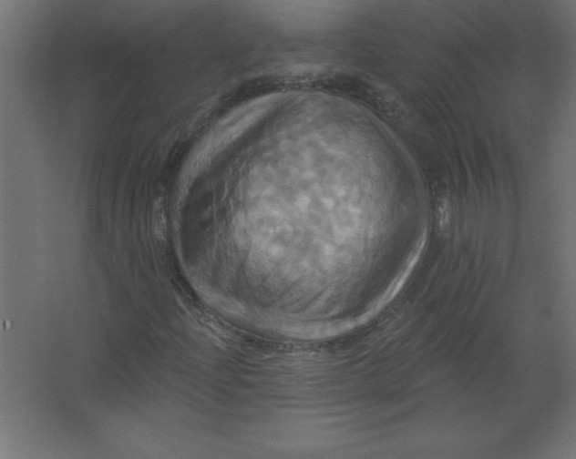 X0000067351204200604211952