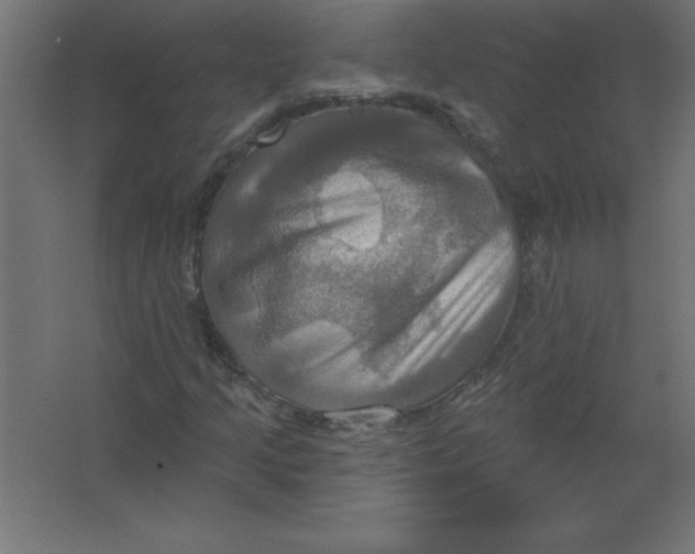 X0000067351205200604211952