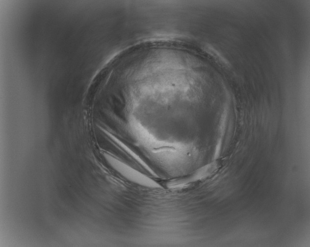 X0000067351208200604211953